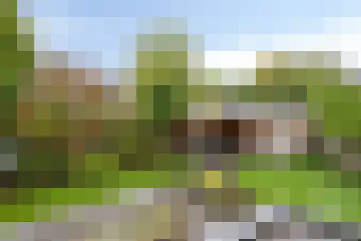 Oonderschoer 3 Markelo thumbnail 37