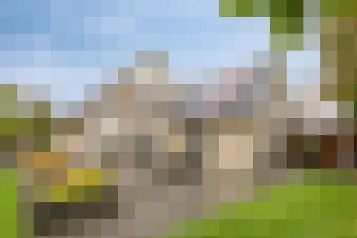 Oonderschoer 3 Markelo thumbnail 39