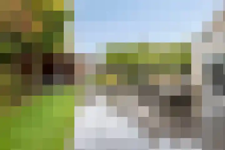 Oonderschoer 3 Markelo thumbnail 41