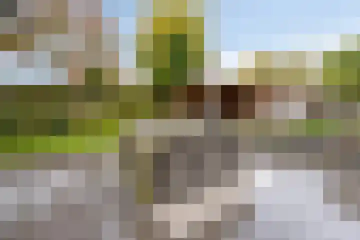 Oonderschoer 3 Markelo thumbnail 42