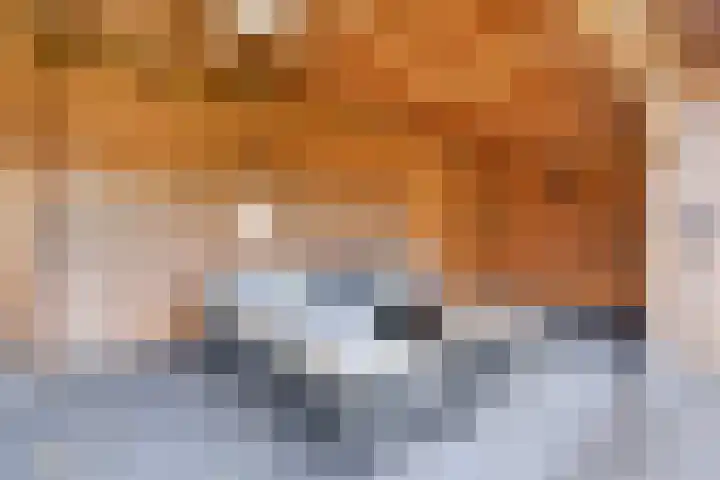 Oonderschoer 3 Markelo thumbnail 43