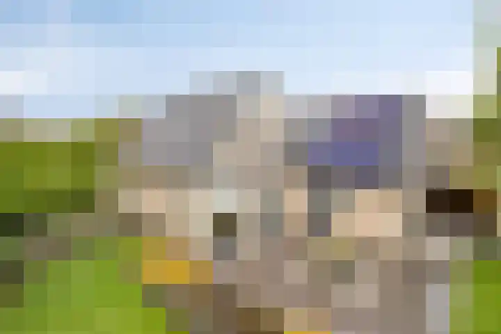 Oonderschoer 3 Markelo thumbnail 44