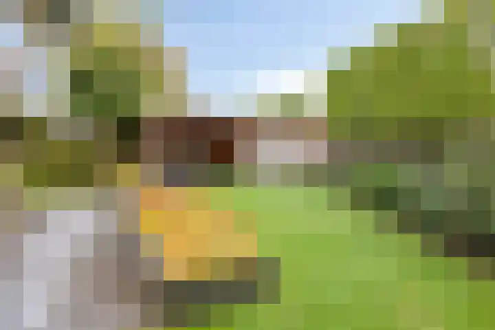 Oonderschoer 3 Markelo thumbnail 45