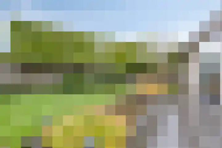Oonderschoer 3 Markelo thumbnail 46