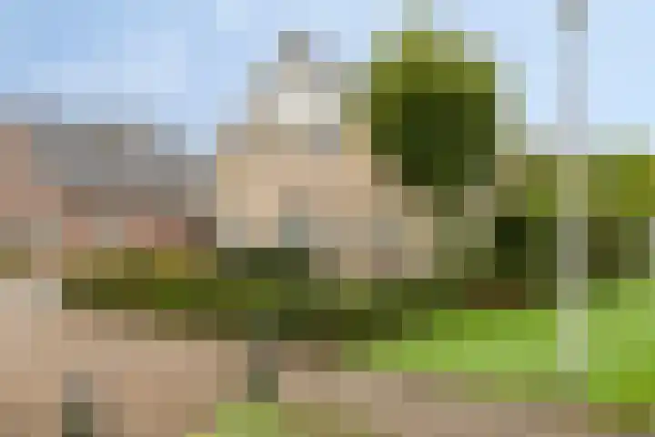 Oonderschoer 3 Markelo thumbnail 47