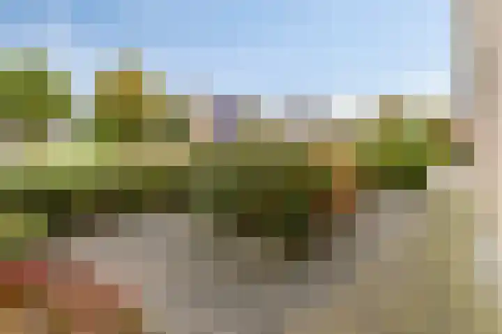 Oonderschoer 3 Markelo thumbnail 49