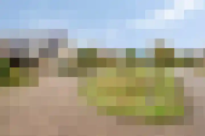 Oonderschoer 3 Markelo thumbnail 50