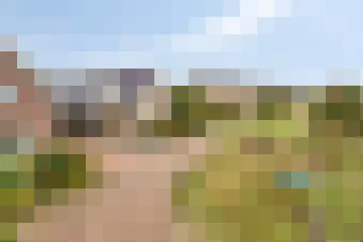 Oonderschoer 3 Markelo thumbnail 51