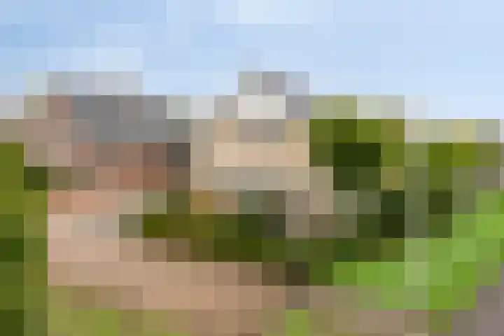 Oonderschoer 3 Markelo thumbnail 52