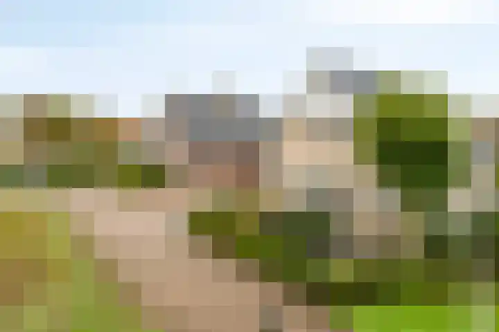 Oonderschoer 3 Markelo thumbnail 53