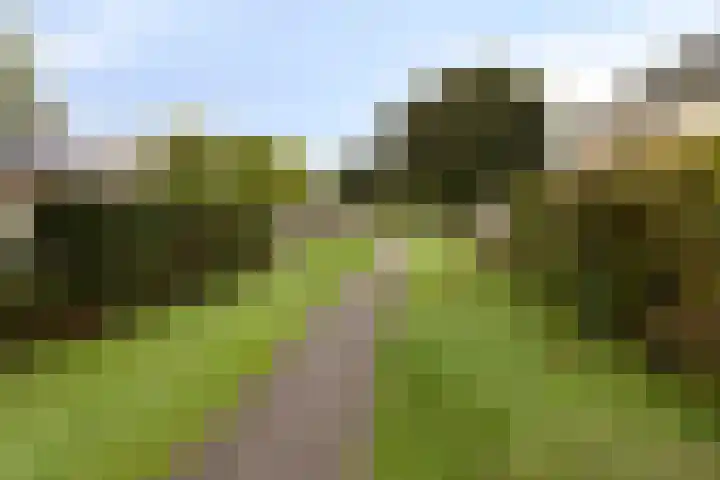 Oonderschoer 3 Markelo thumbnail 55
