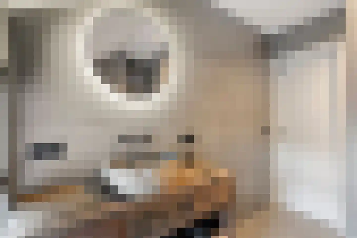 Oordtstraat 37 Beerzerveld thumbnail 22