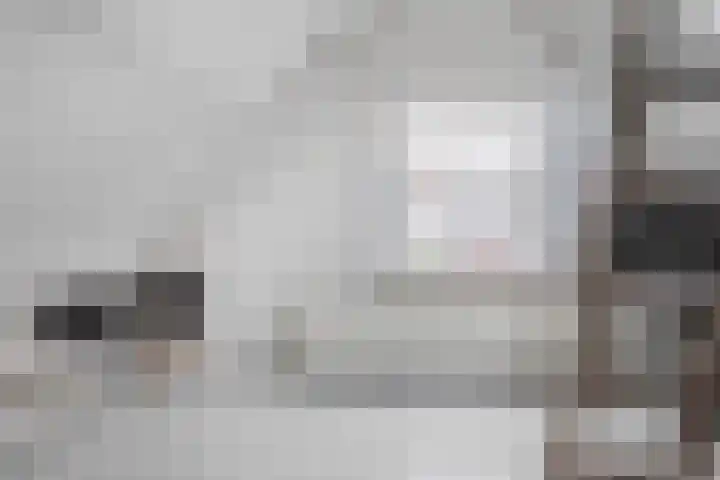 Oorgat 108 Edam thumbnail 22
