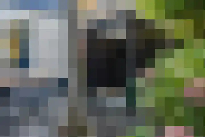 Oorgat 108 Edam thumbnail 26