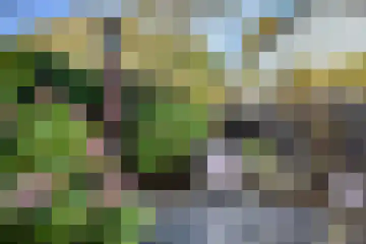 Oorgat 108 Edam thumbnail 28