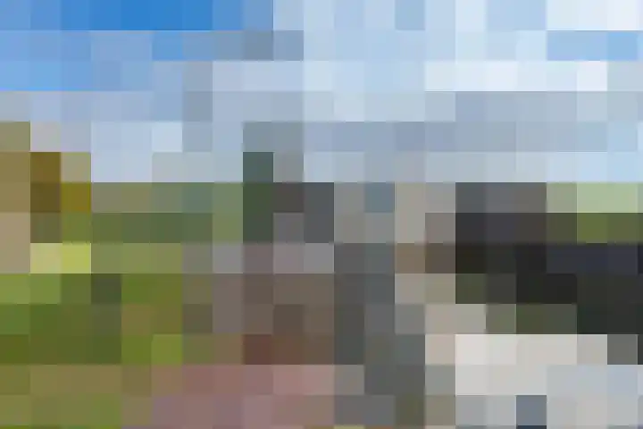 Oorgat 108 Edam thumbnail 32