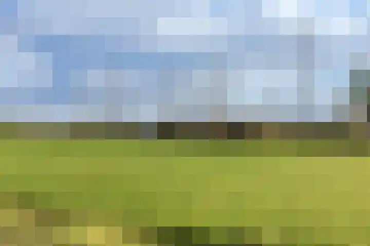 Oorgat 108 Edam thumbnail 34