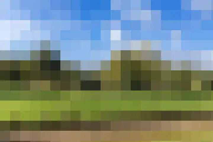 Oorgat 108 Edam thumbnail 35