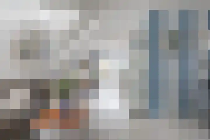 Oorgat 108 Edam thumbnail 5