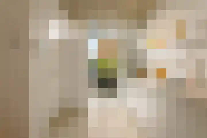 Oorgat 21 h Edam thumbnail 16