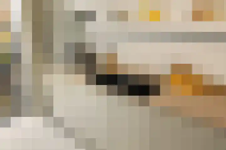 Oorgat 21 h Edam thumbnail 17