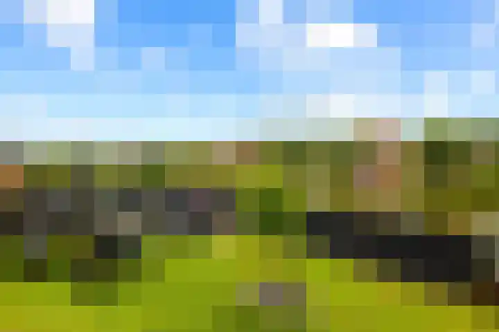 Oorgat 21 h Edam thumbnail 19