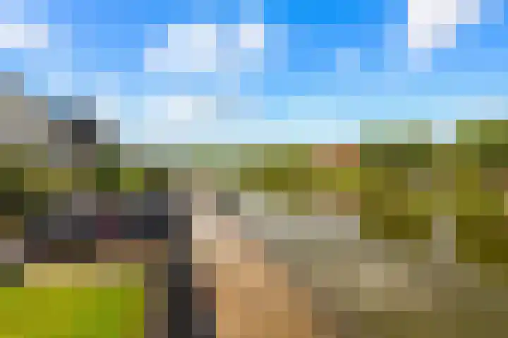 Oorgat 21 h Edam thumbnail 20