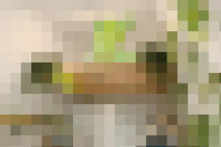 Oorgat 21 h Edam thumbnail 29