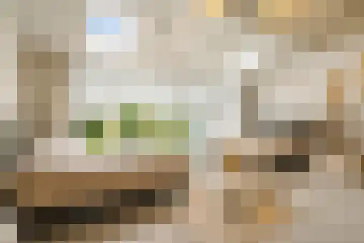 Oorgat 21 h Edam thumbnail 30