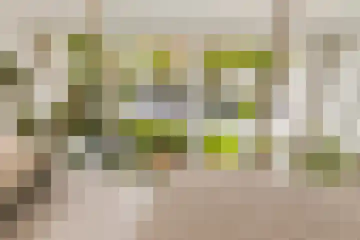 Oorgat 21 h Edam thumbnail 32