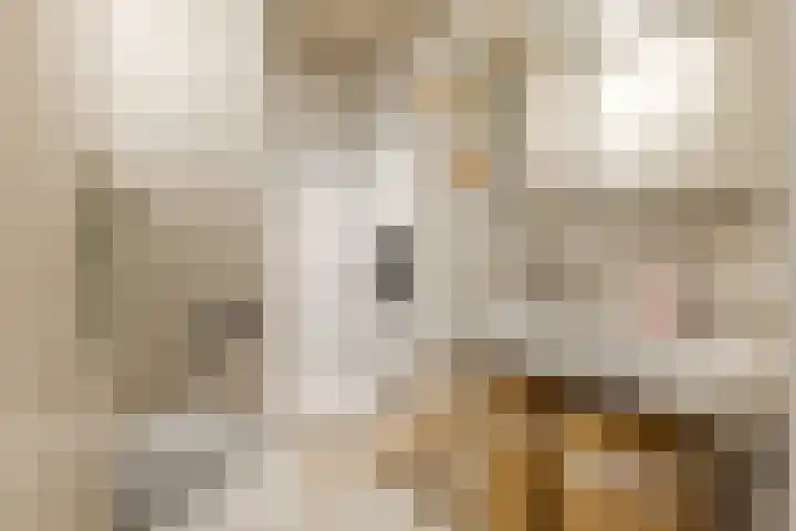 Oorgat 21 h Edam thumbnail 34