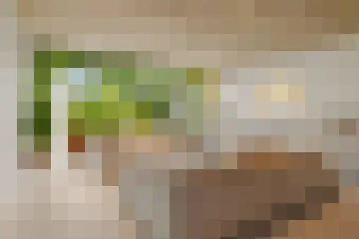 Oorgat 21 h Edam thumbnail 4