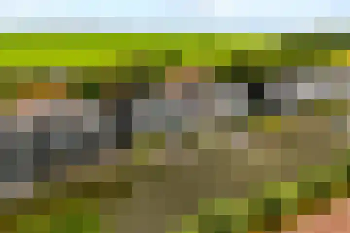 Oorgat 21 h Edam thumbnail 41