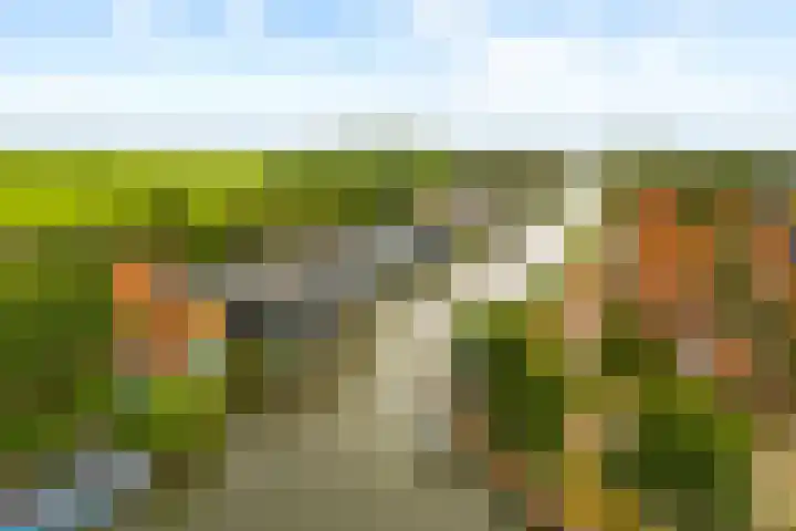 Oorgat 21 h Edam thumbnail 42
