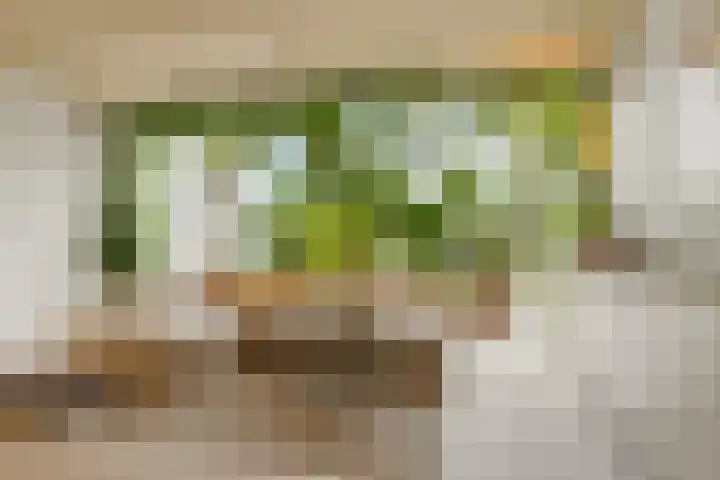 Oorgat 21 h Edam thumbnail 6