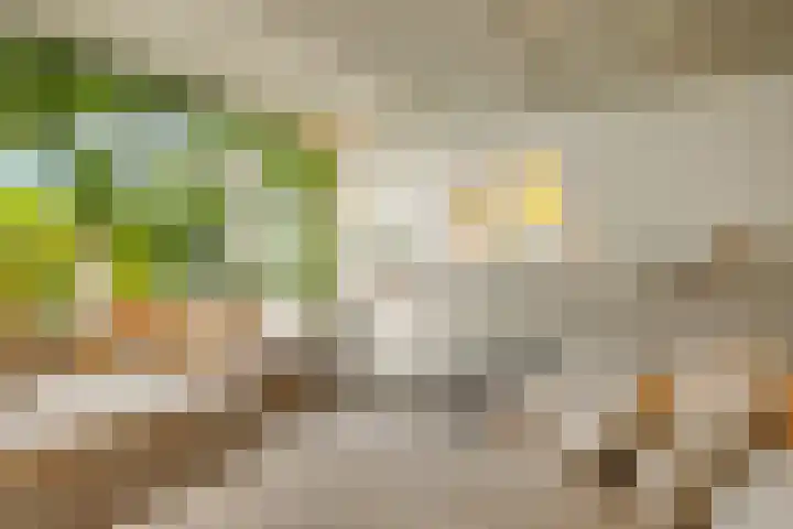 Oorgat 21 h Edam thumbnail 7