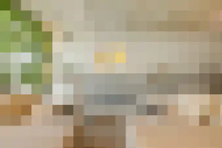 Oorgat 21 h Edam thumbnail 8
