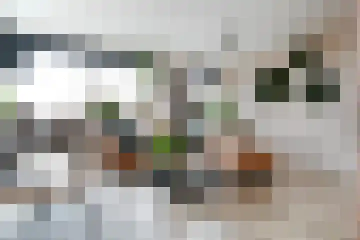 Oorgat 23 e Edam thumbnail 10