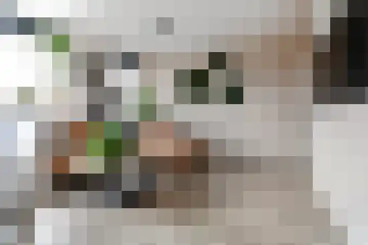 Oorgat 23 e Edam thumbnail 11