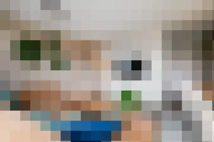 Oorgat 23 e Edam thumbnail 12
