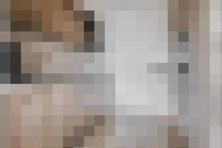 Oorgat 23 e Edam thumbnail 14