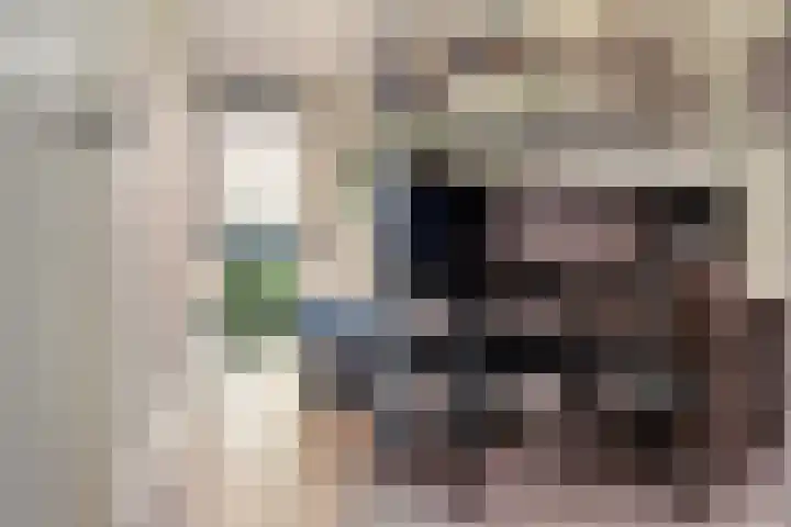 Oorgat 23 e Edam thumbnail 17