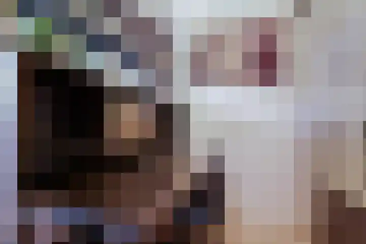 Oorgat 23 e Edam thumbnail 21
