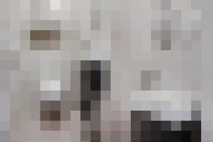 Oorgat 23 e Edam thumbnail 24
