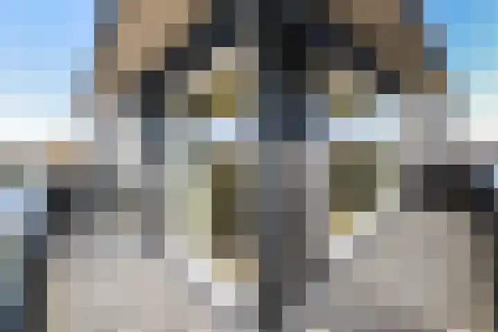 Oorgat 23 e Edam thumbnail 26