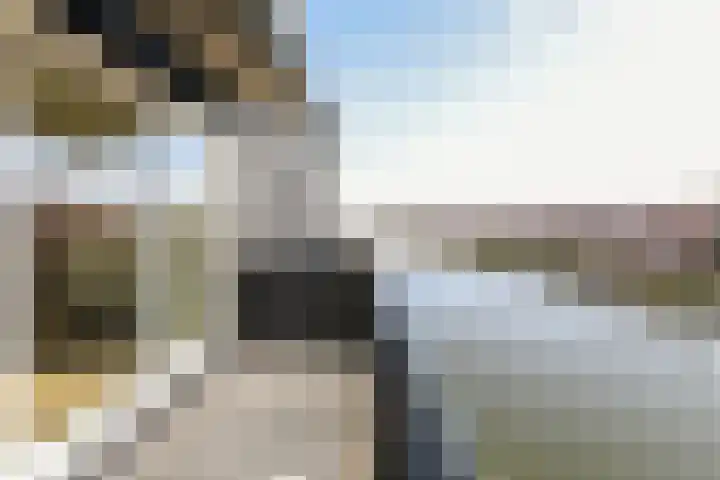 Oorgat 23 e Edam thumbnail 28