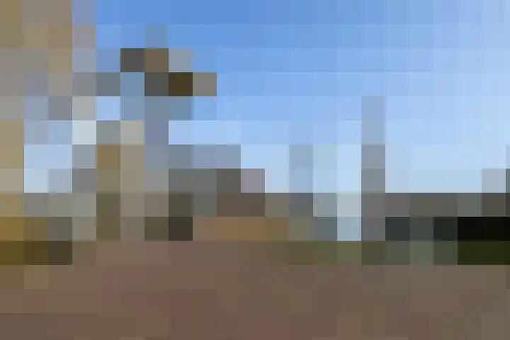 Oorgat 23 e Edam thumbnail 36