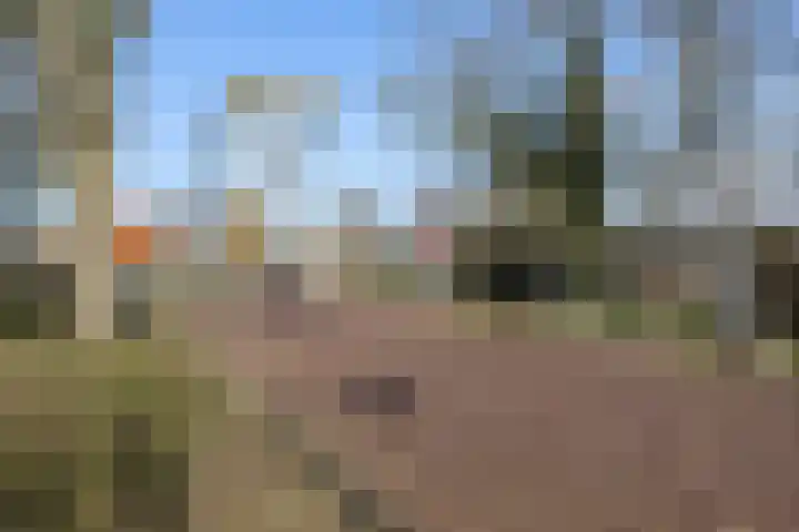 Oorgat 23 e Edam thumbnail 37