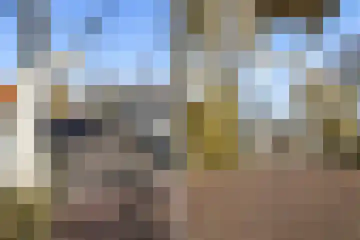 Oorgat 23 e Edam thumbnail 38