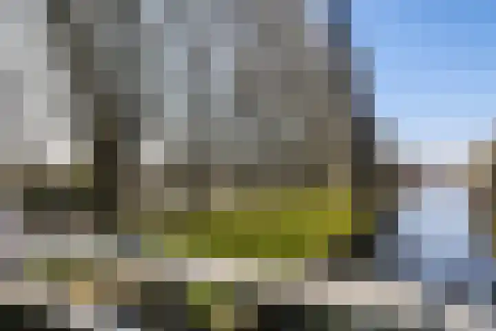 Oorgat 23 e Edam thumbnail 39